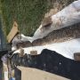 Sub soil Drainage